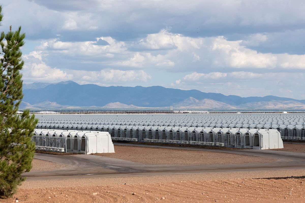 Rows of thousands of outdoor hutches.