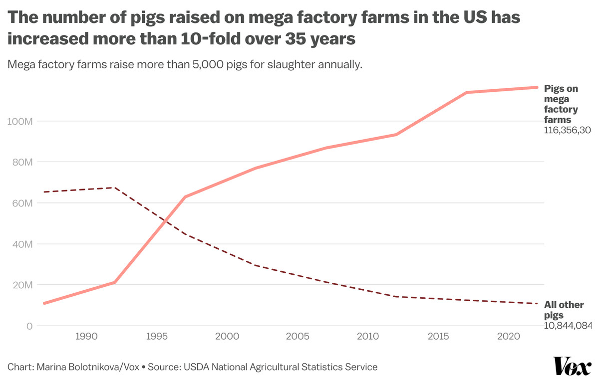 Chart showing the number of pigs raised on mega-factory farms increase from about 11 million in 1987 to more than 116 million in 2022.&nbsp;