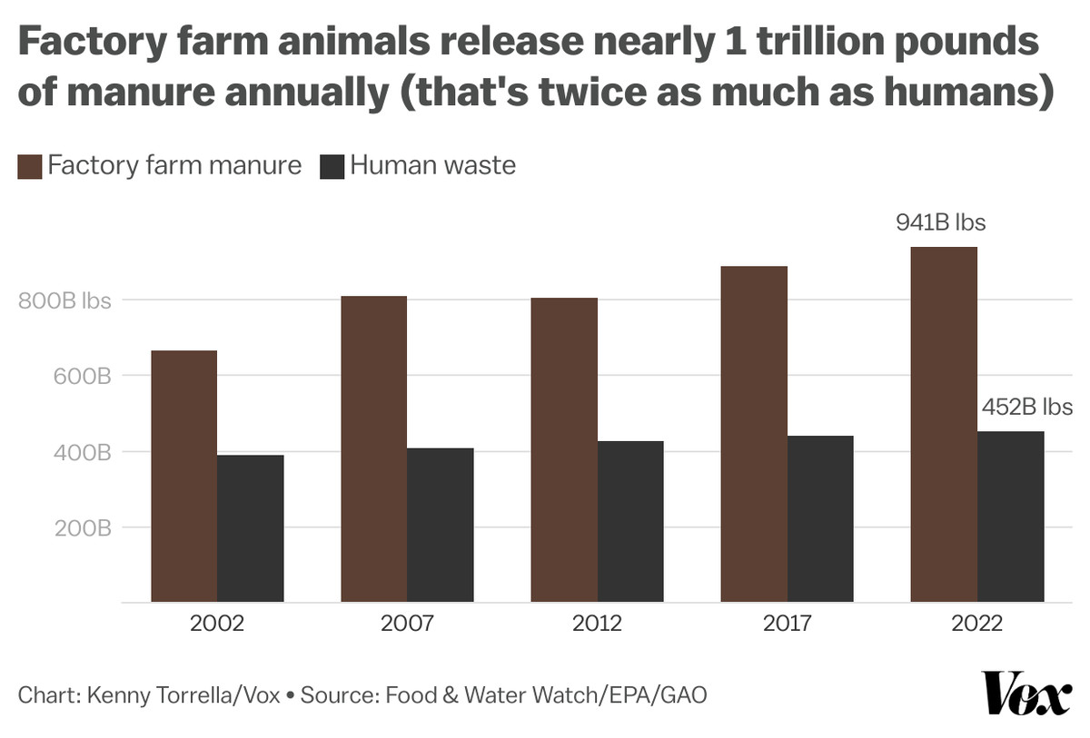 Chart showing the volume of factory farm manure increasing from around 650 billion lbs in 2002 to 941 billion lbs in 2022. Waste produced by humans increased from just under 400 billion lbs in 2022 to 452 billion lbs in 2022. 