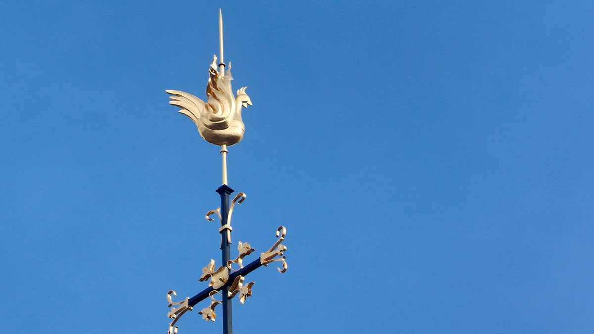 The new golden rooster