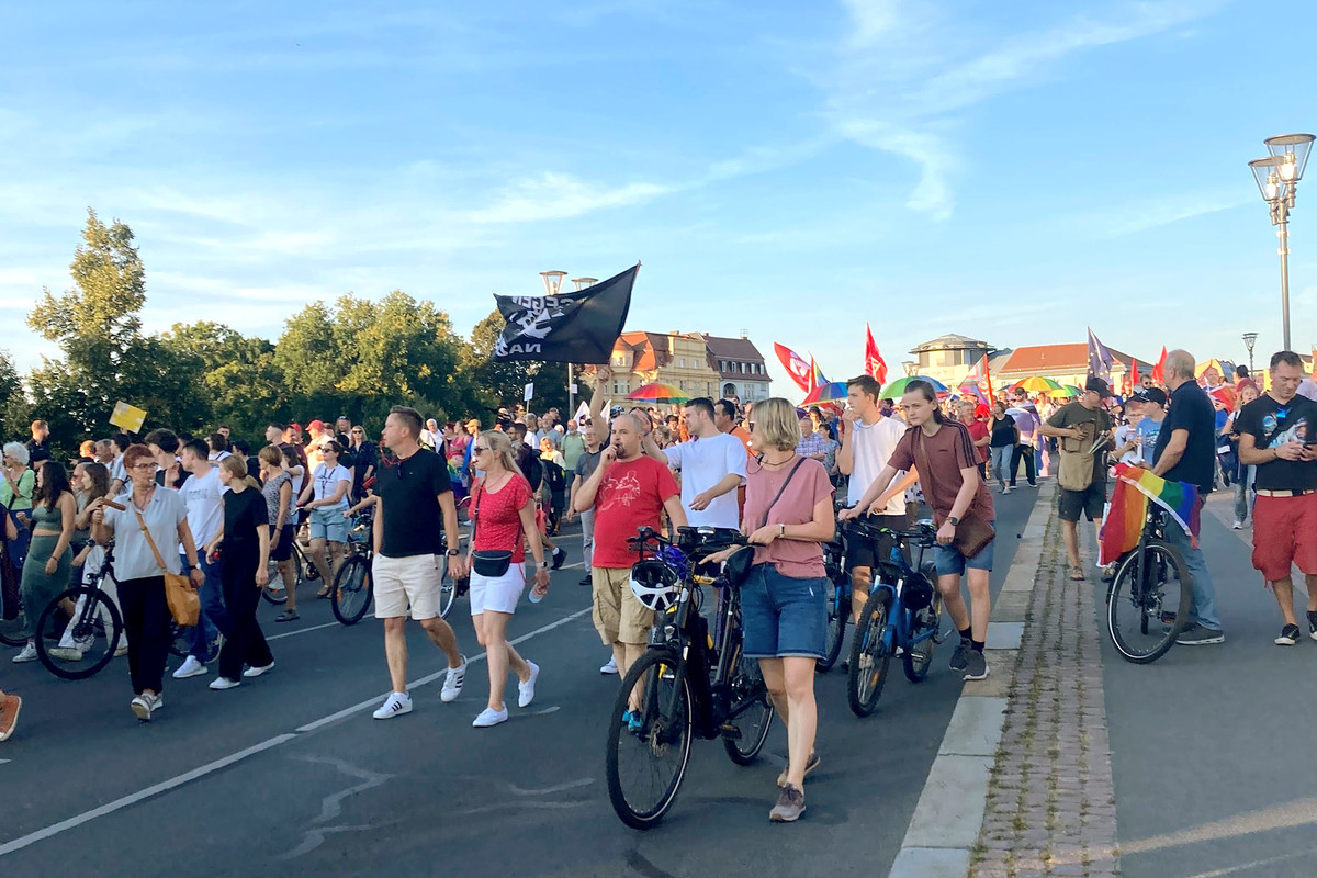 Against a blue sky and neatly paved street, a crowd of German protesters wave flags and signs.