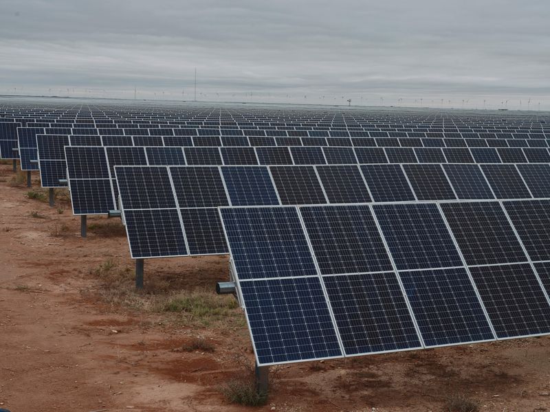 A field of solar panels.