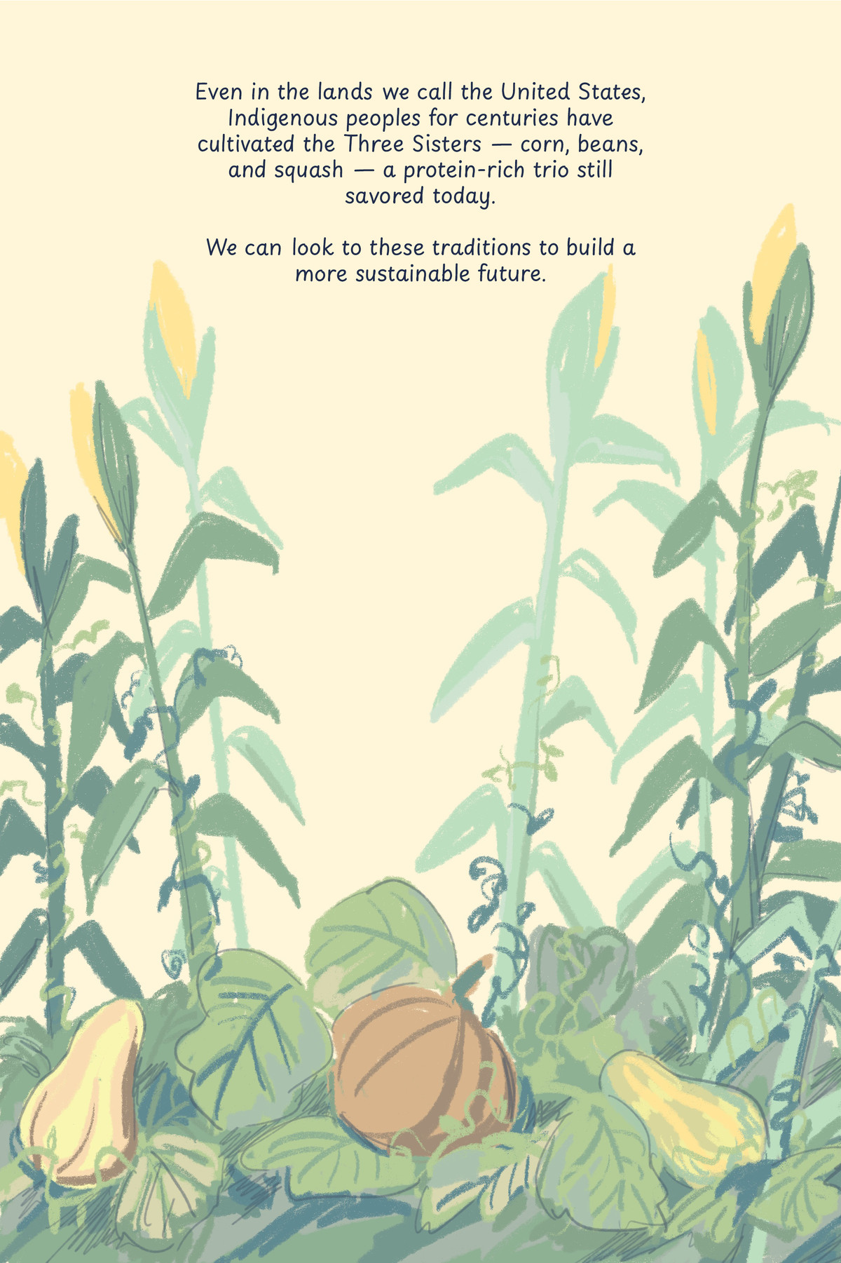 Text reads: “Even in the lands we call the United States, Indigenous peoples for centuries cultivated the Three Sisters — corn, beans, and squash — a protein-rich trio still savored today.&nbsp;We can look to these traditions to build a more sustainable future.” These words are superimposed on an illustration of the Three Sisters growing in a field against a soft yellow sky.