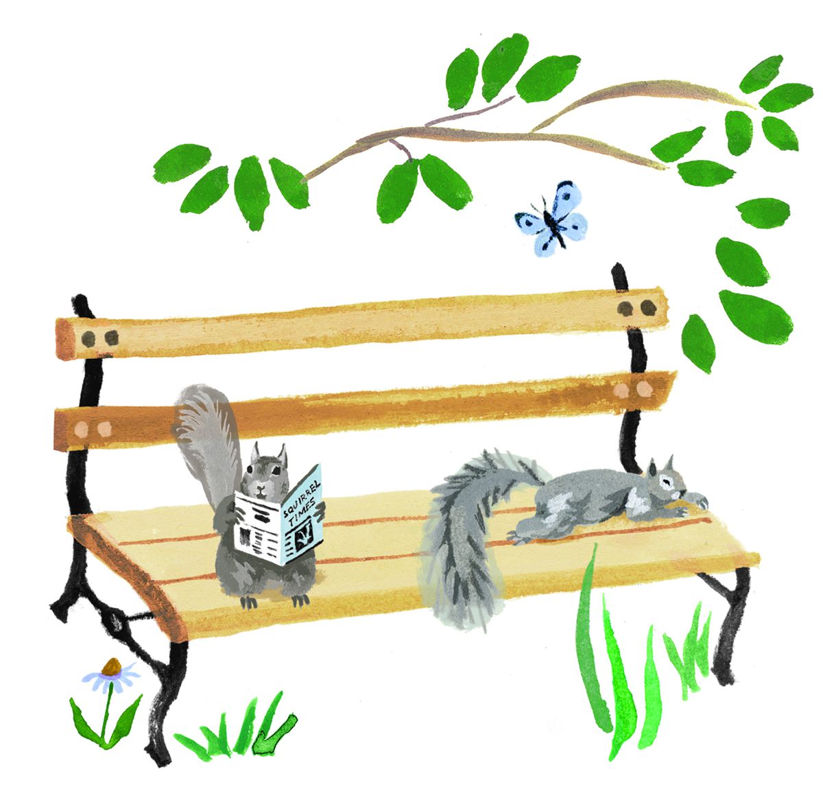 An illustration of two squirrels rest on a wooden park bench surrounded by greenery and a blue butterfly. One squirrel reads a tiny newspaper.
