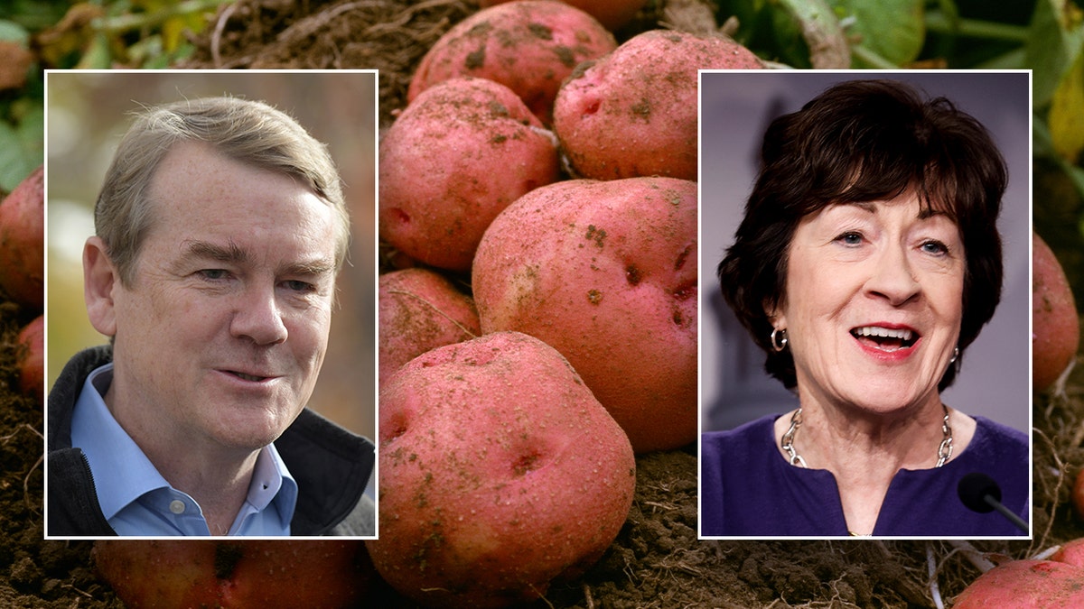 Senator Bennet, Senator Collins, potatoes as vegetables