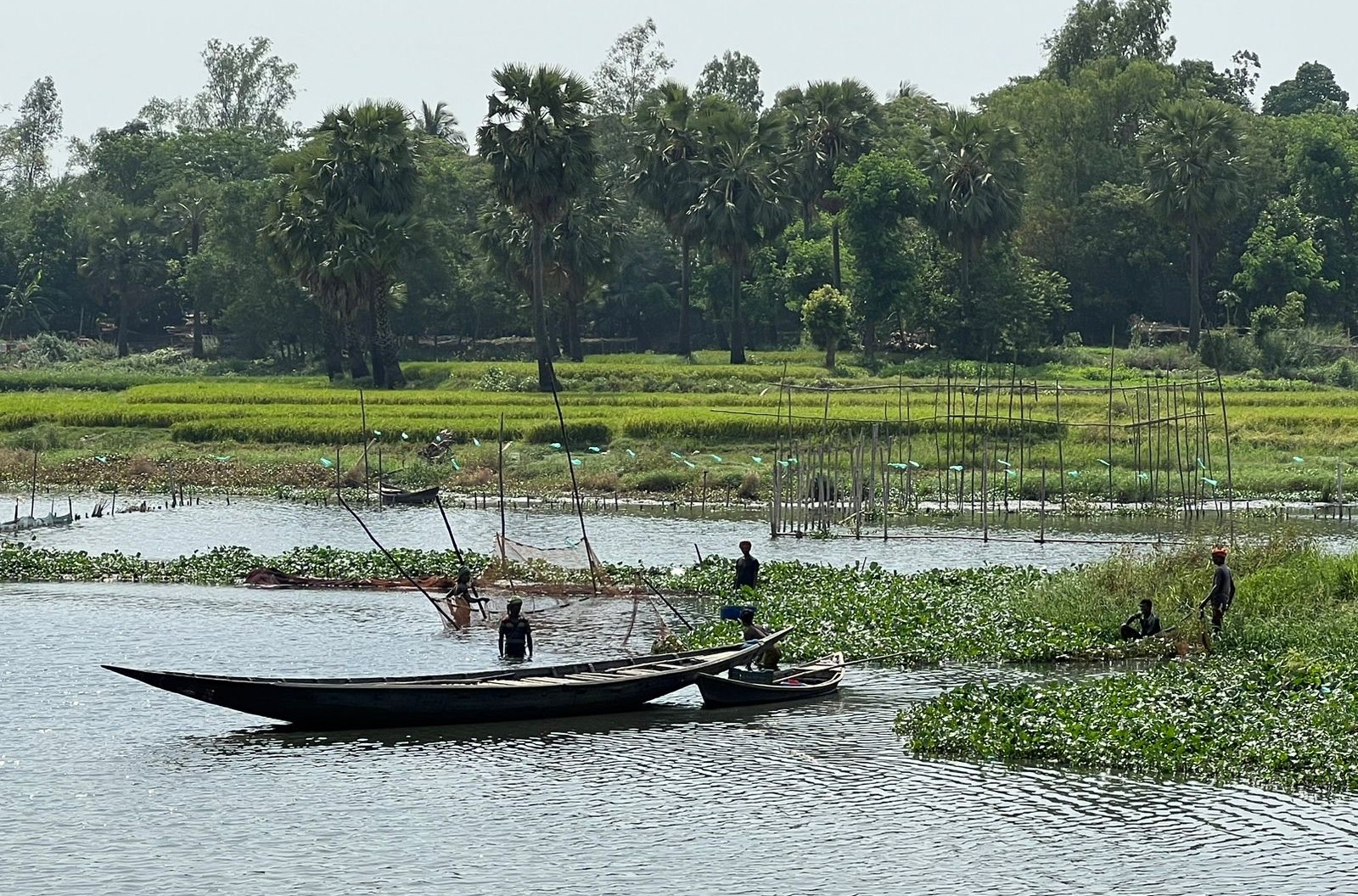 Fishermen work in a marsh a few hundred feet from where Akhter lives in Savar. 