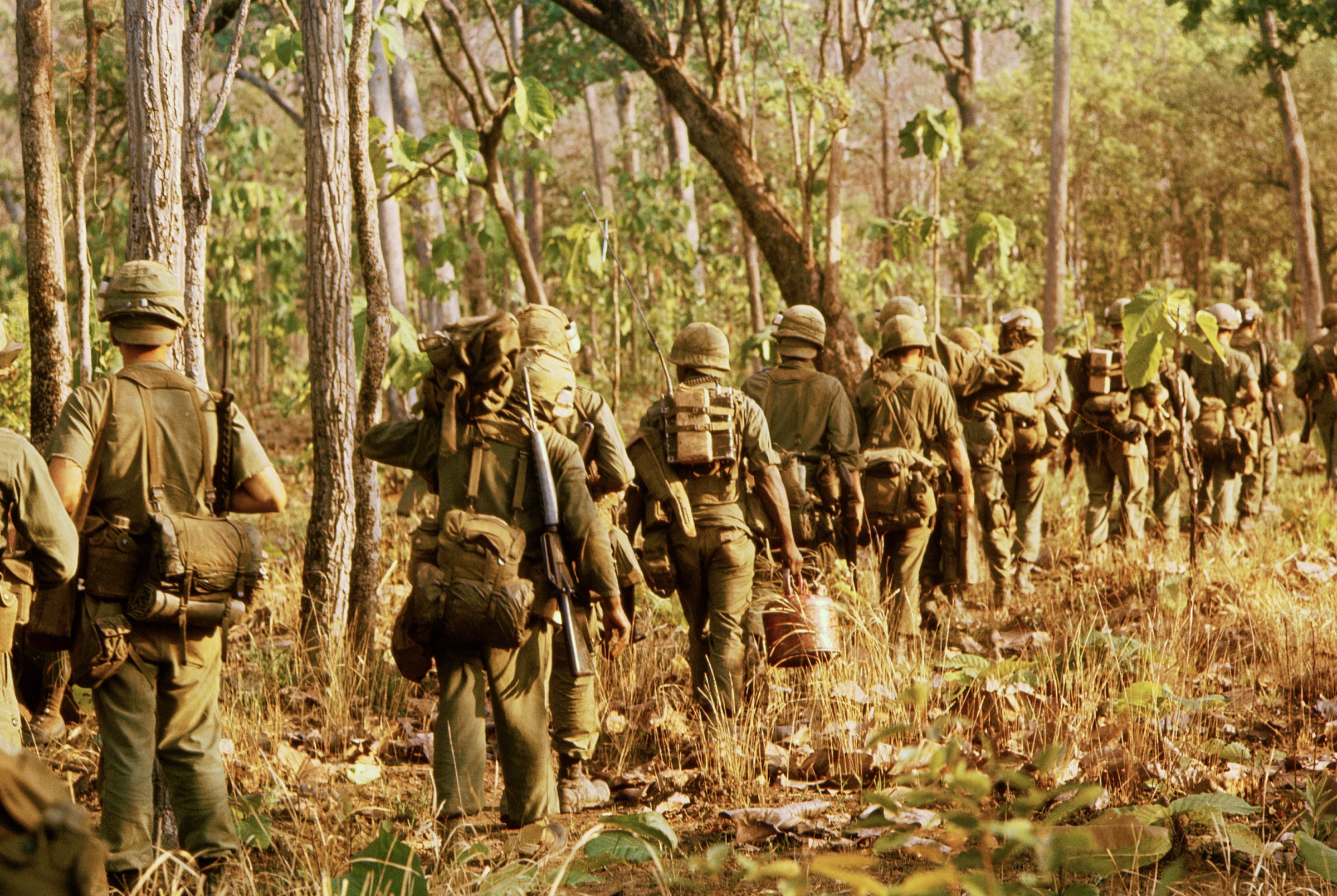 Men dressed in Army gear walk through the forest.