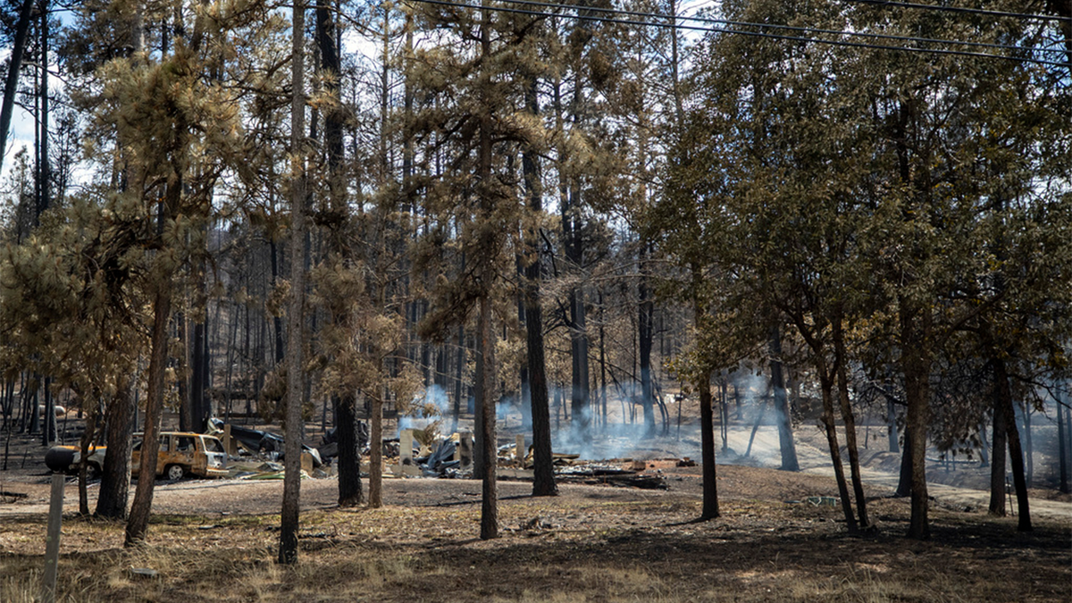 new mexico wildfire