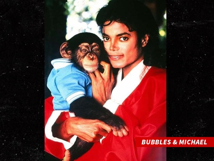 Bubbles and Michael