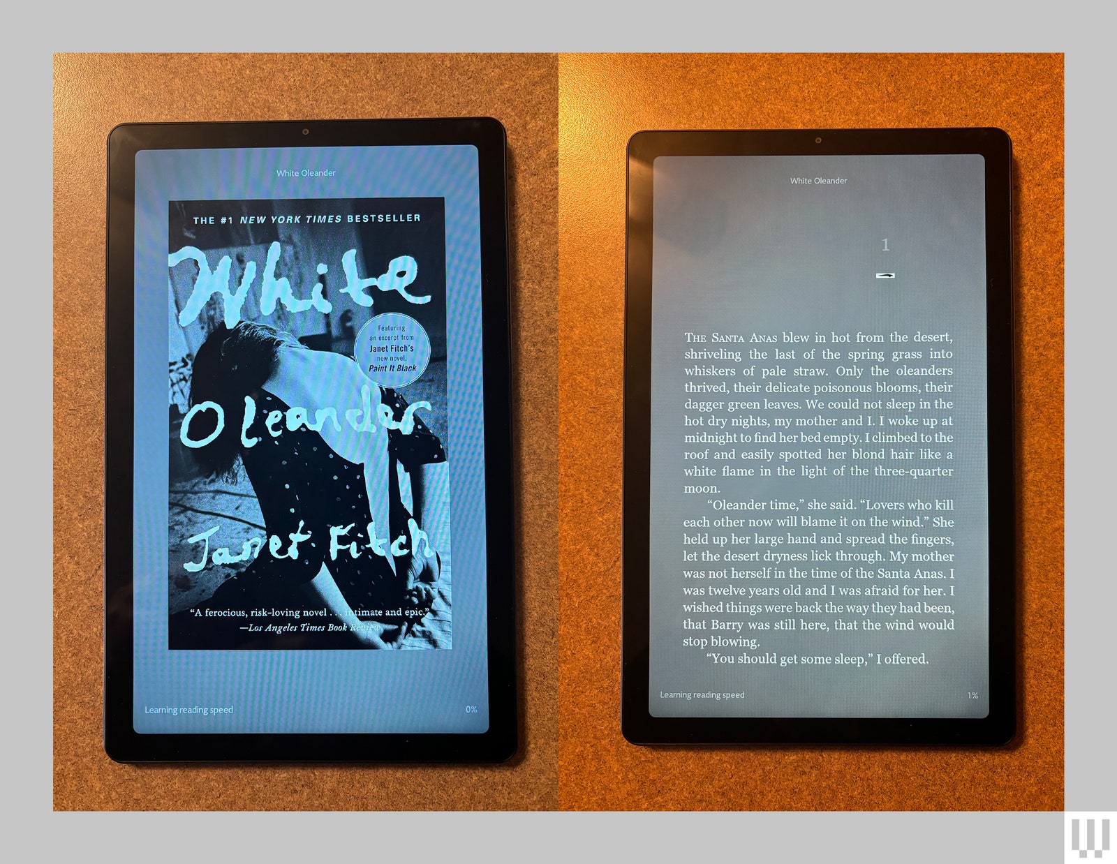 Tablet showing the cover of an ebook on the left and a page from the ebook on the right