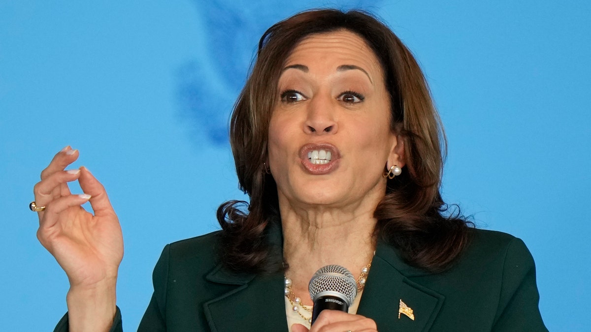 Vice President Kamala Harris speaks during an event at Discovery World.