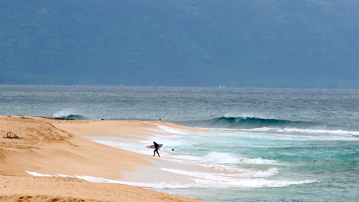 Surfer