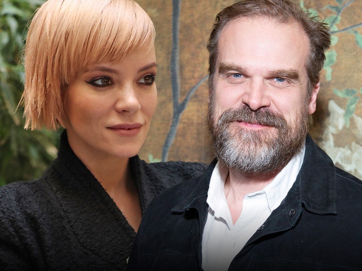 lily allen david harbour main