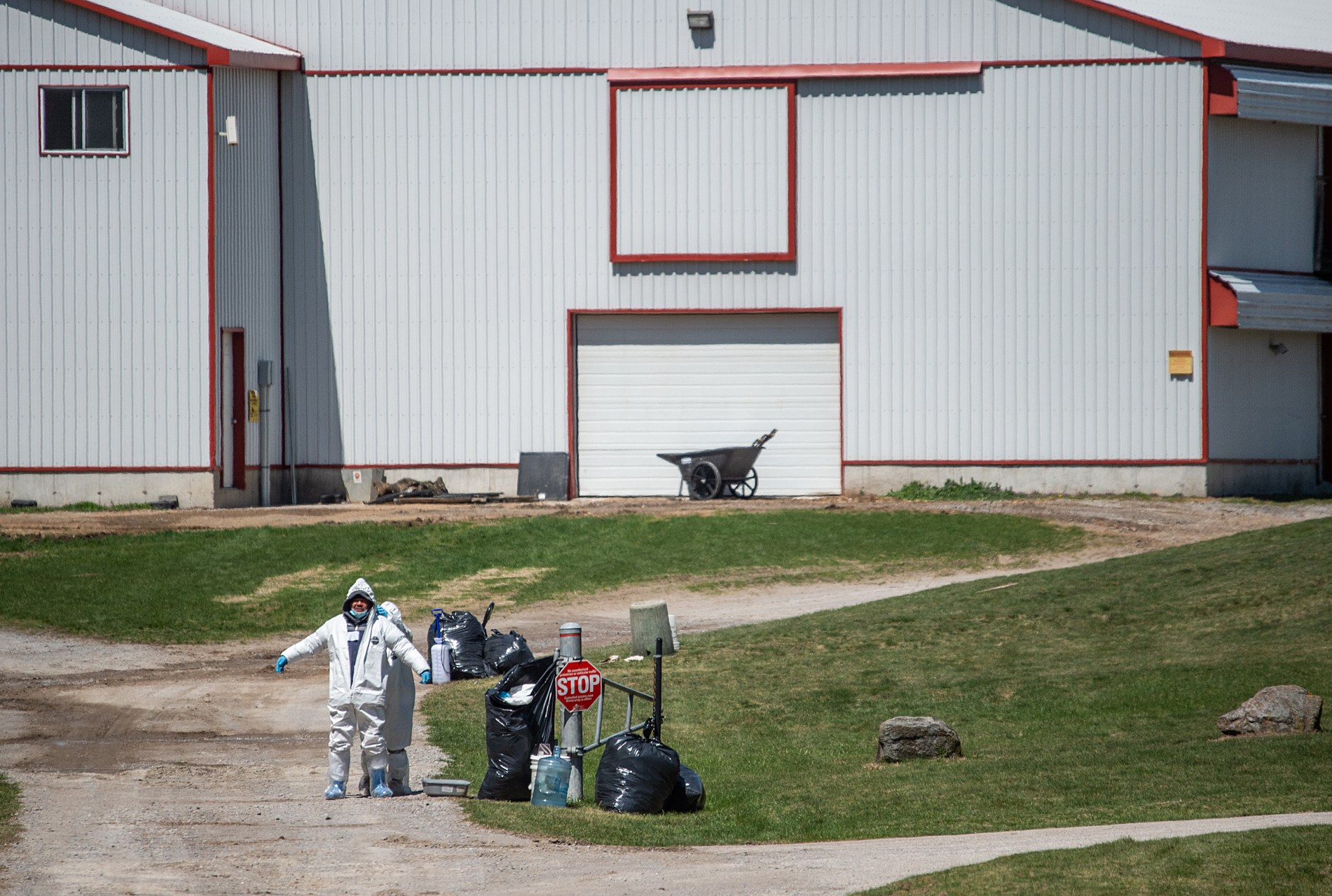 Workers remove their biohazard suits after culling ducks at a farm in Ontario, Canada, in 2022.