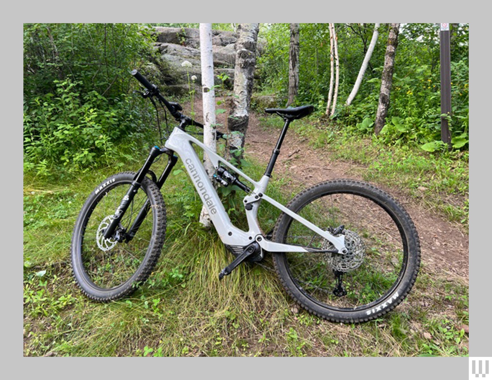 White electric bike leaning against a tree of to the side of a walking trail in the woods