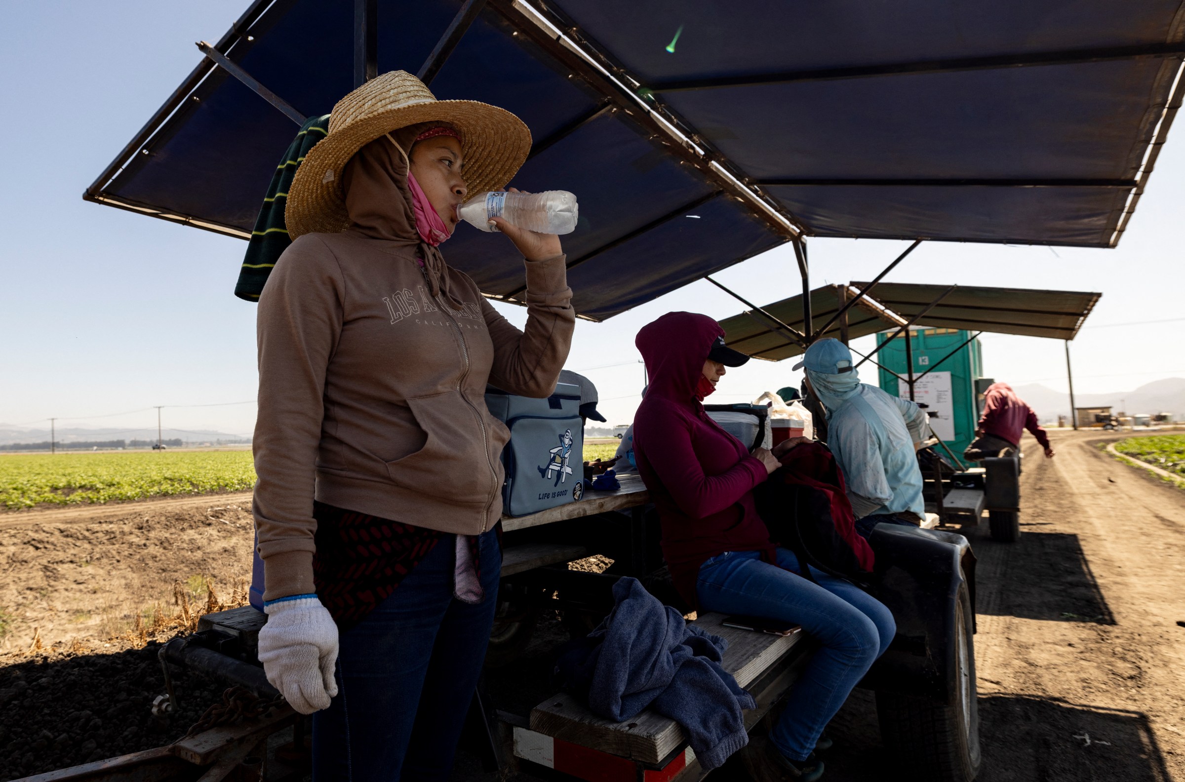 Farm workers take a break and drink water in the shade of a tent as they weed a bell pepper field in the sun as southern California is facing a heatwave, in Camarillo, on July 3 2024.