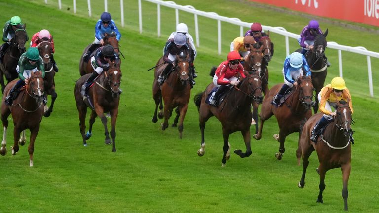 Royal Velvet ridden by Callum Shepherd (right) coming home to win the Bet £5 Get £20 At tote.co.uk Racing League Race 3 Handicap at Great Yarmouth