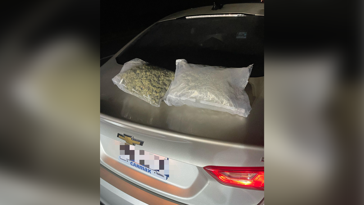 Drugs pulled from toys during traffic stop