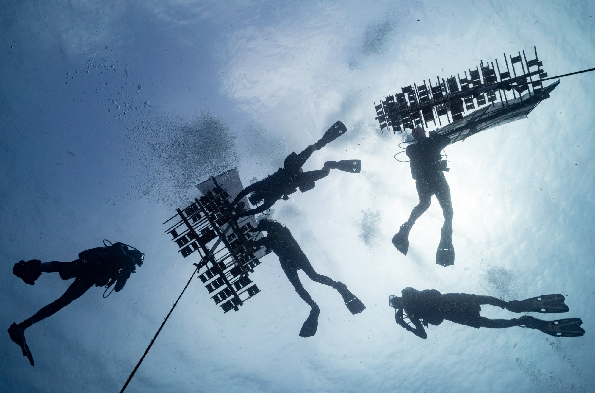 A view from below of five divers swimming around coral nurseries at the surface of water