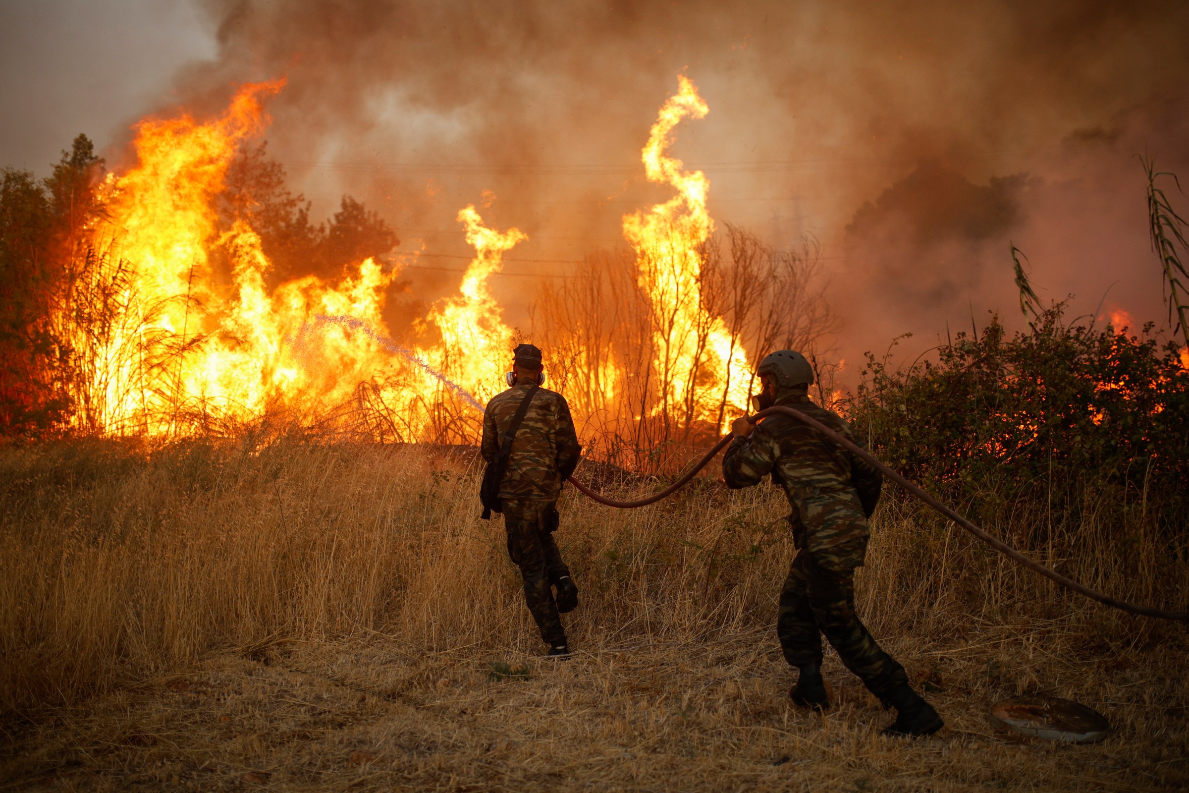 Two men in helmets and jackets haul a long hose toward a forest fire burning twice as tall as they are, through dry grass and scrub.