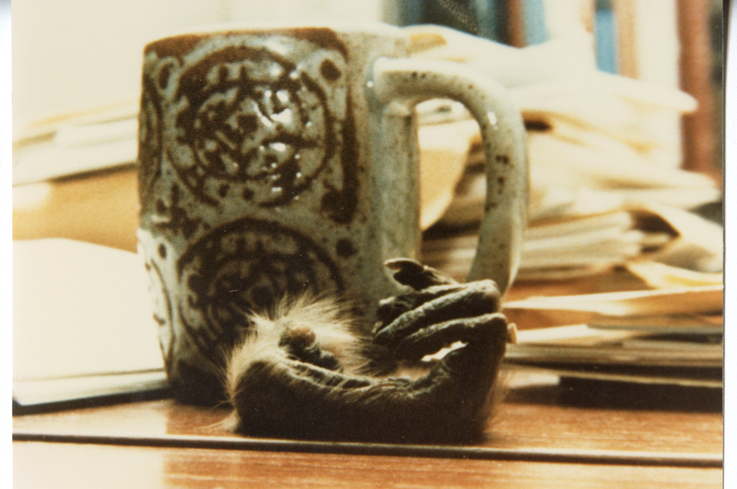 A curled monkey’s paw sits on a desk next to papers and a mug.