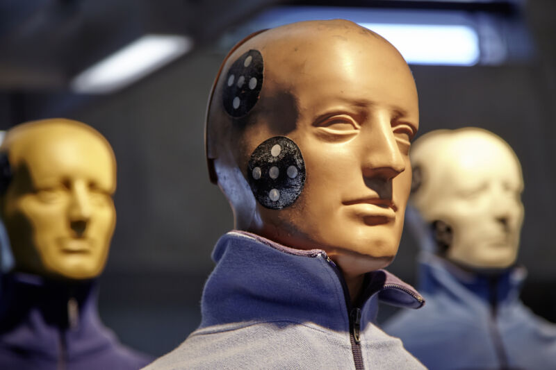 crash test dummy heads