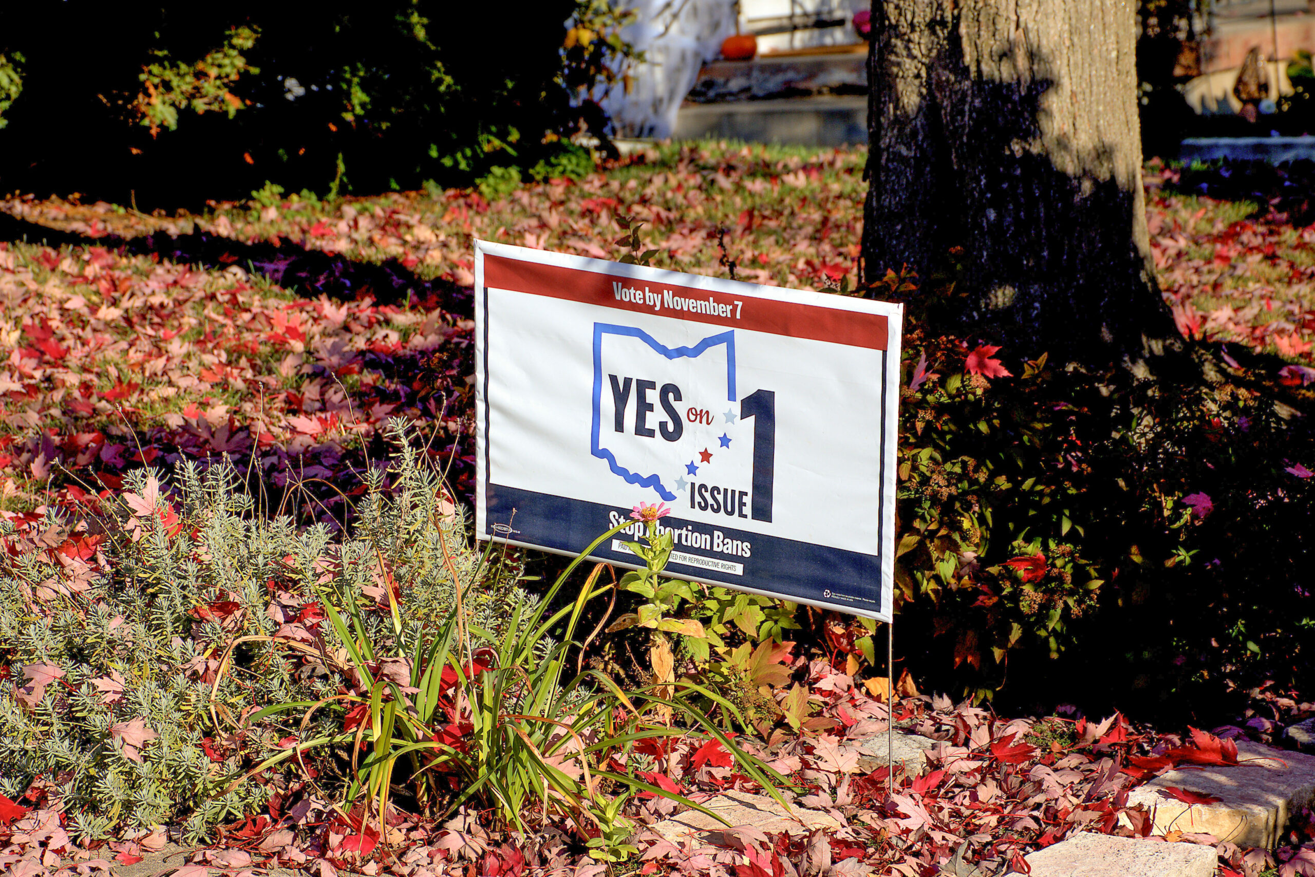 Political Yard sign supporting passage of Ohio Issue 1 on display in Dayton, Ohio.