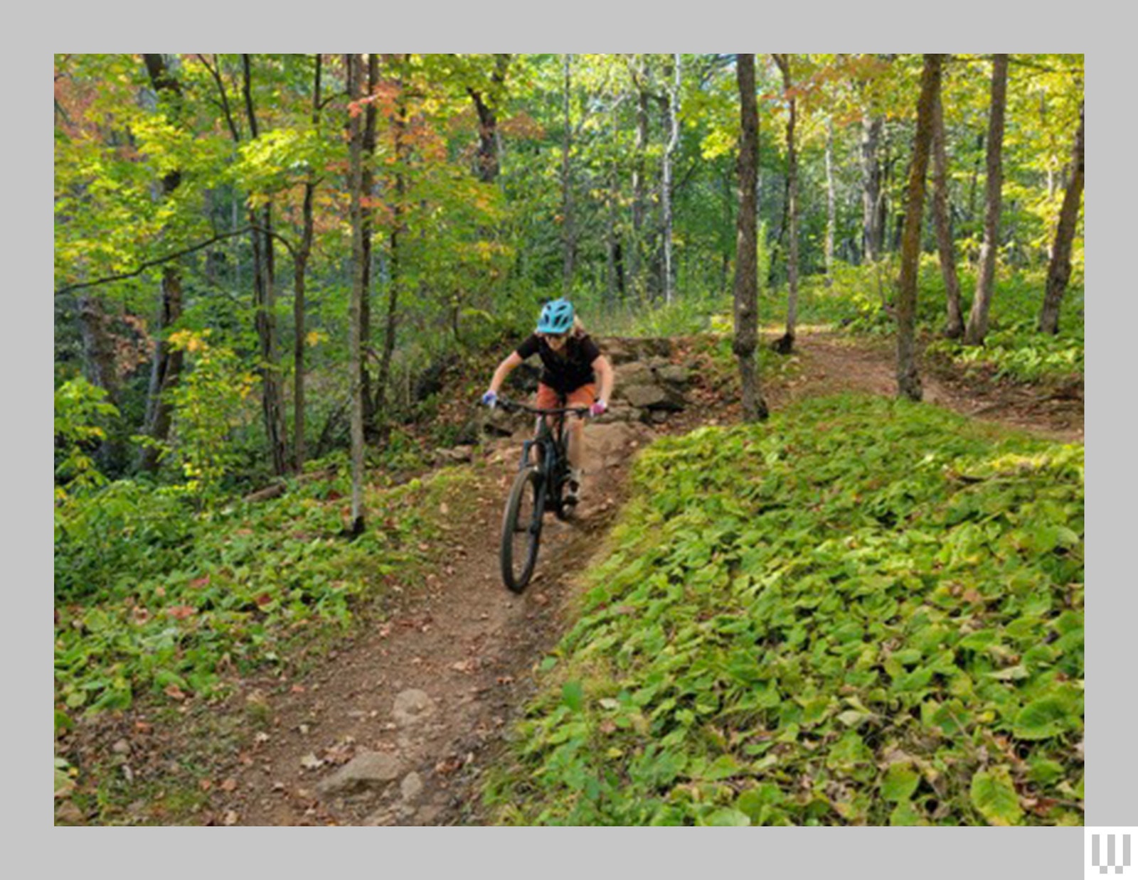 A person riding the Trek Slash Plus an electric mountain bike on a dirt trail in a wooded area while wearing a blue...