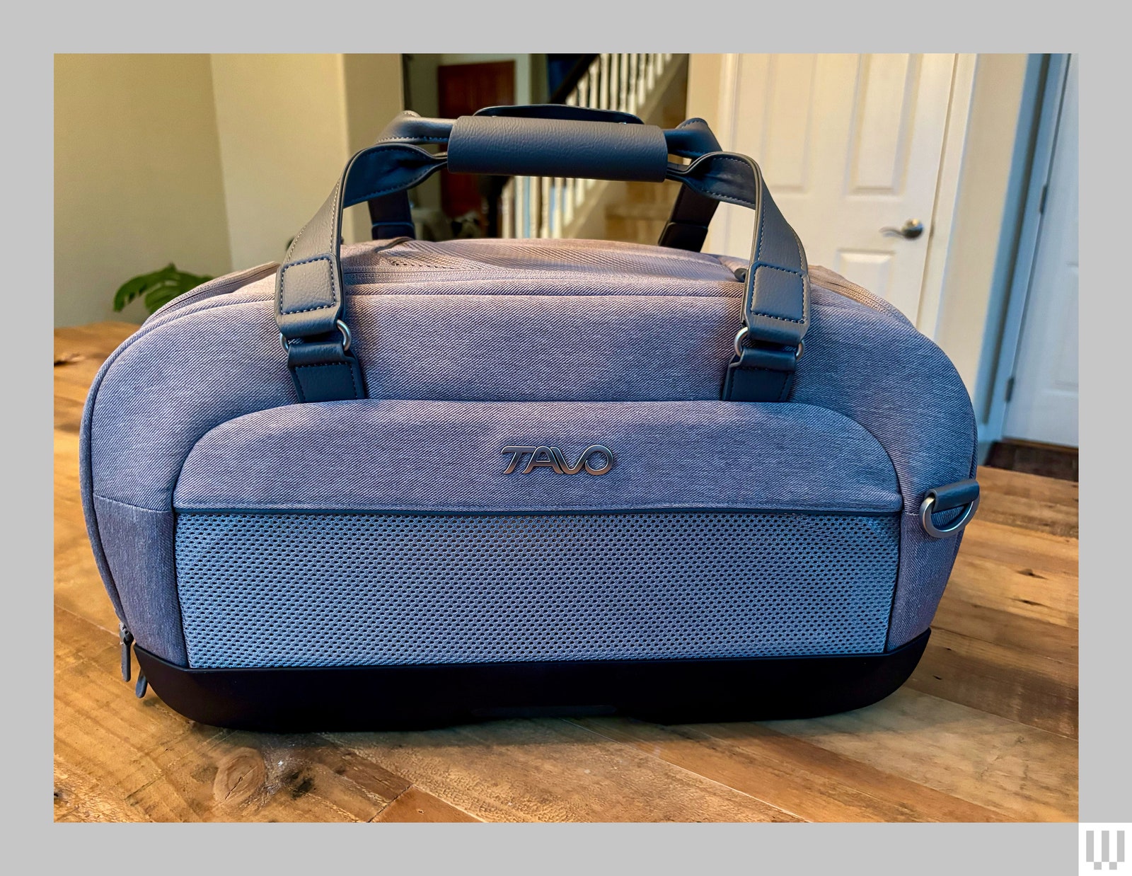 Tavo Dupree 2 a pet carrier with two handles on top sitting on a wooden surface