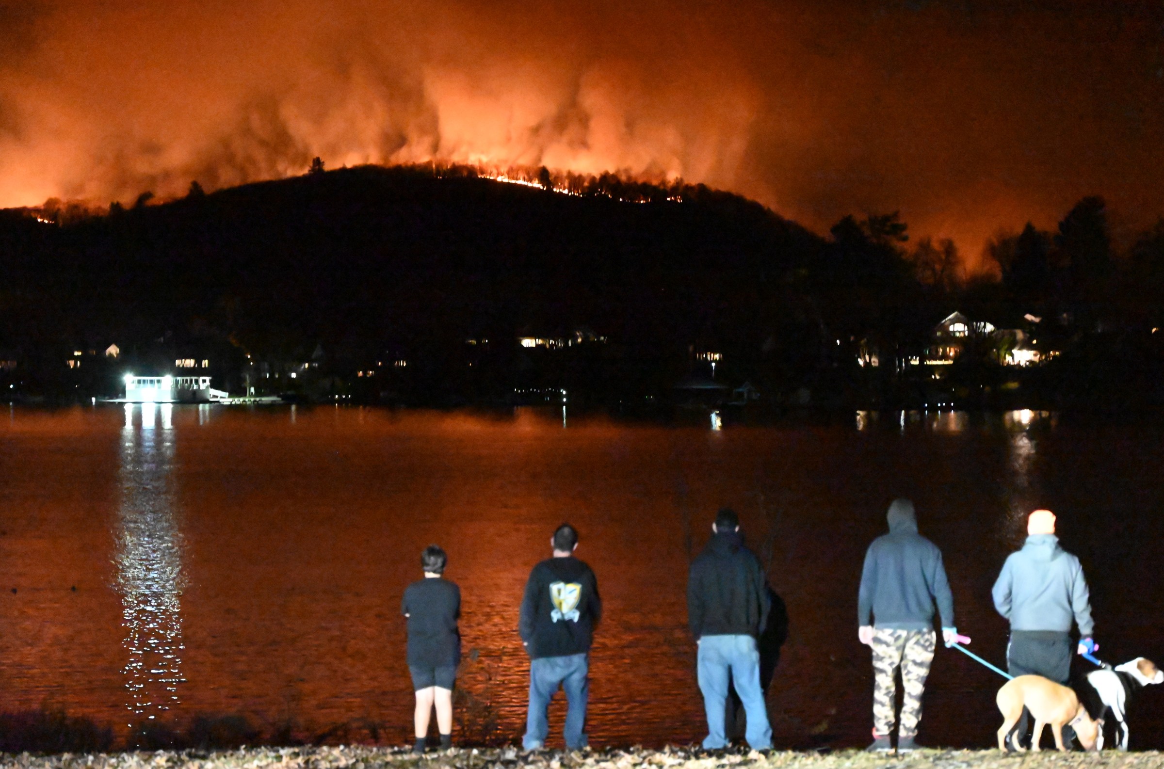 Five people and two dogs stand across the water from a mountain on fire at night.