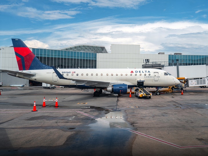 Delta Passngers Fumes After Service Dog Replaces Him in First Class