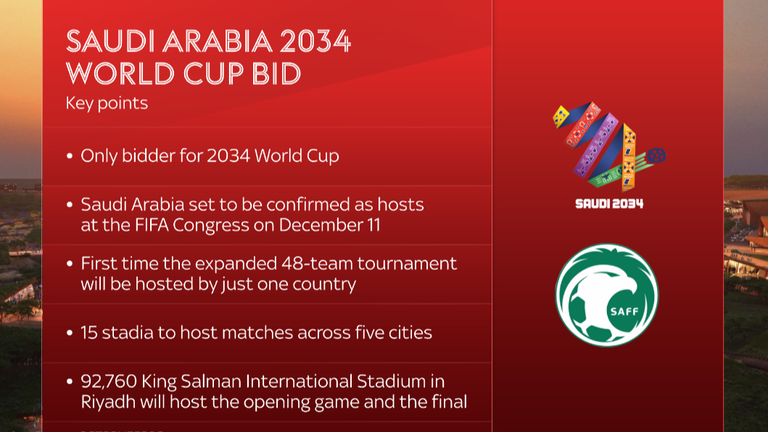 The key points of Saudi Arabia's World Cup bid.