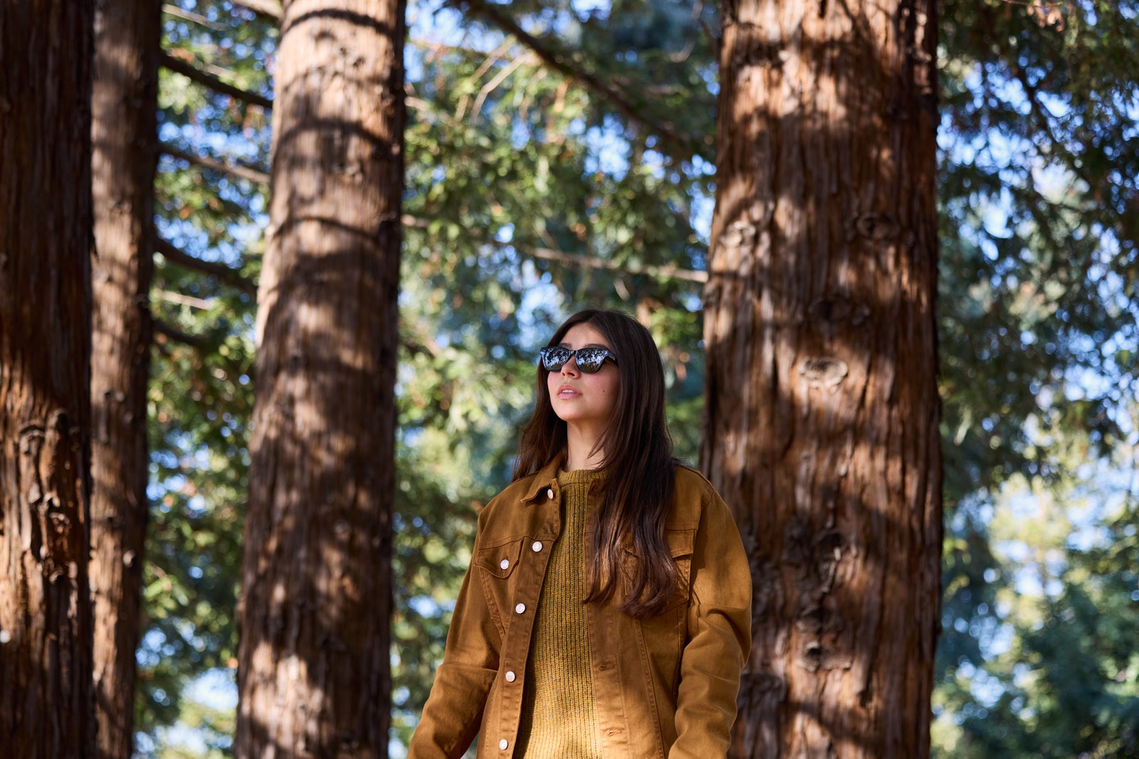 A press image from Google with someone in the woods while wearing Google's smart sunglasses