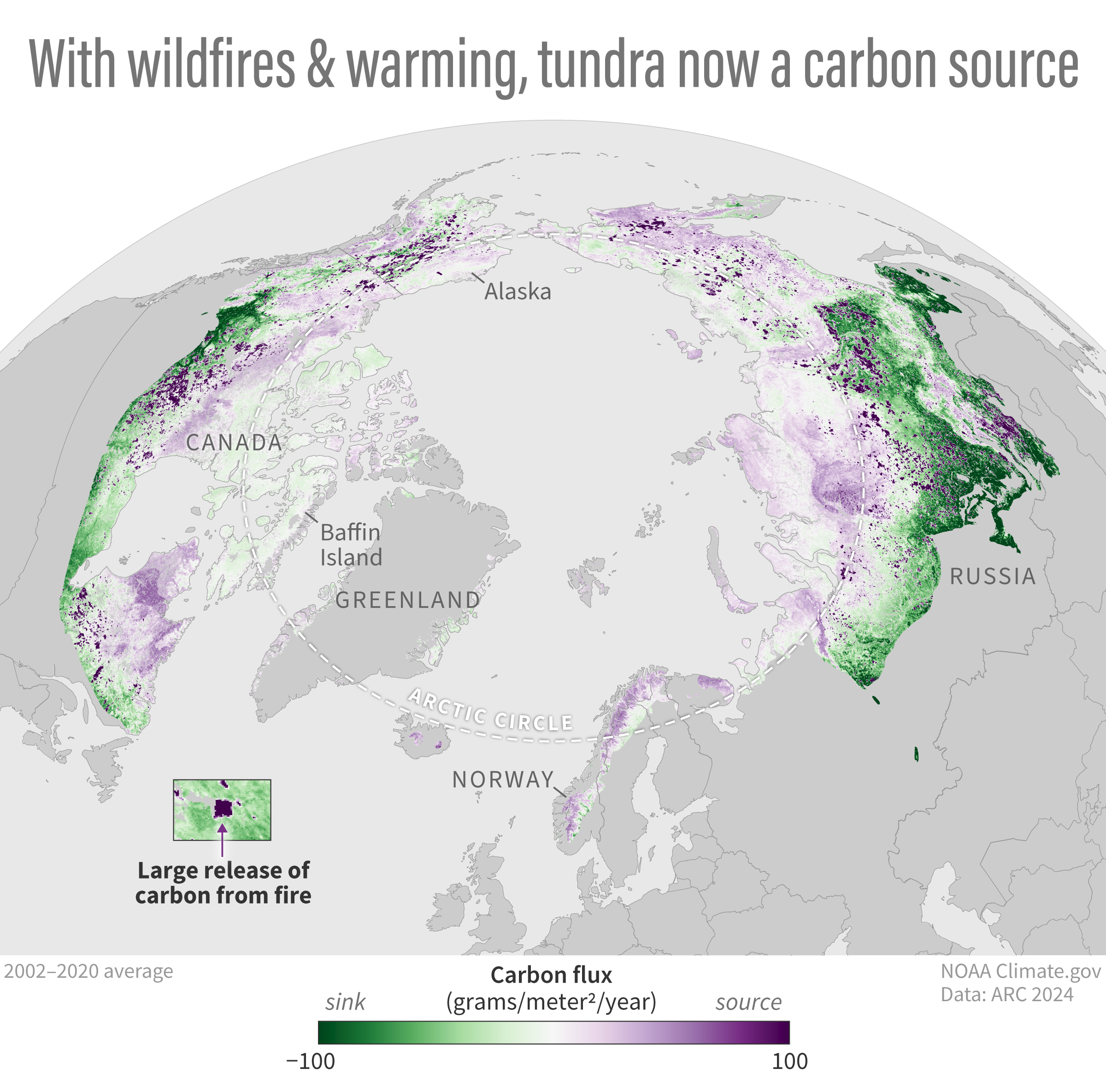 A world map shows where carbon is sinking and being emitted.