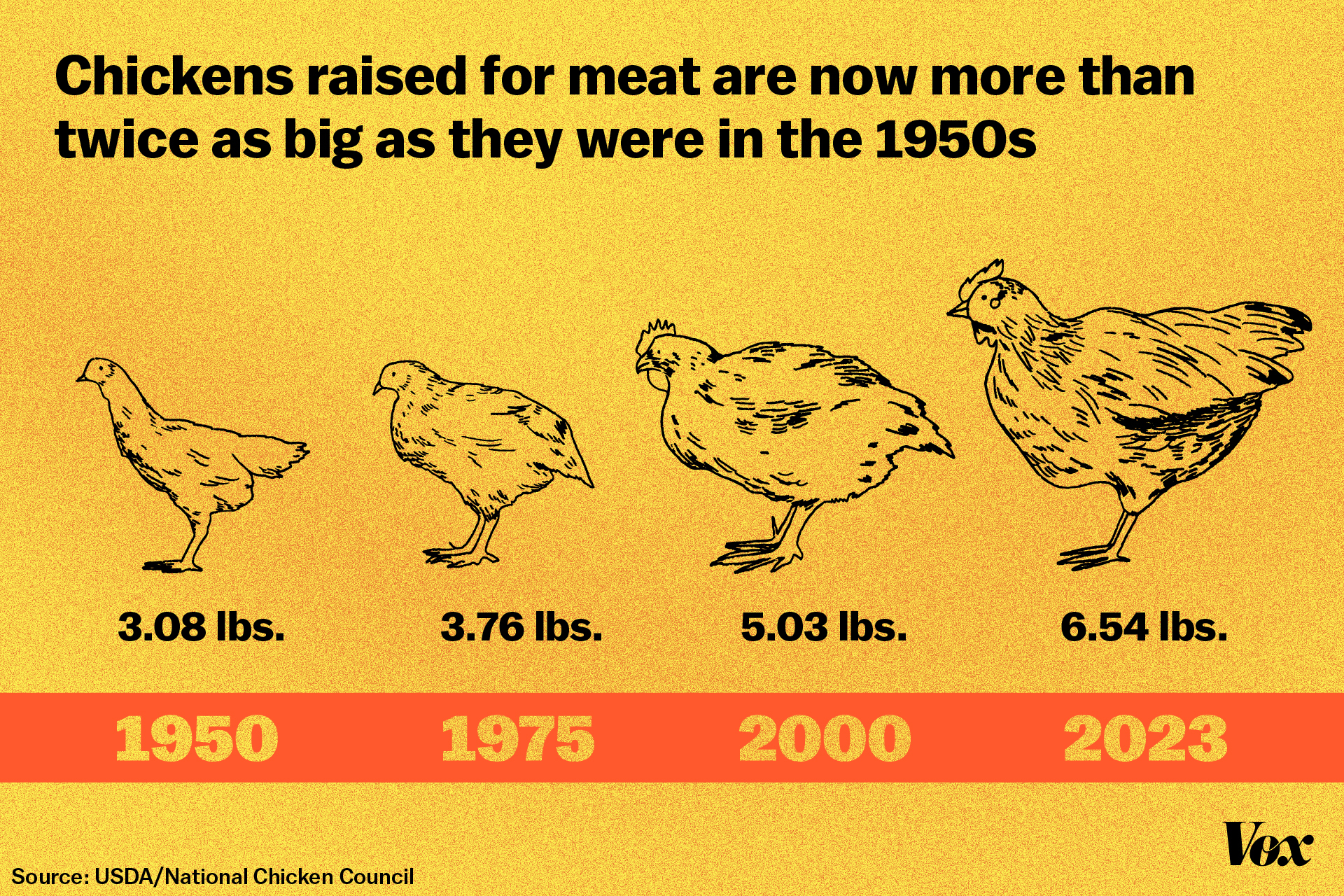 A USDA chart shows chickens raised for meat getting larger over the past 70 years, starting at 3 pounds in 1950 and growing to 6.5 pounds in 2023.