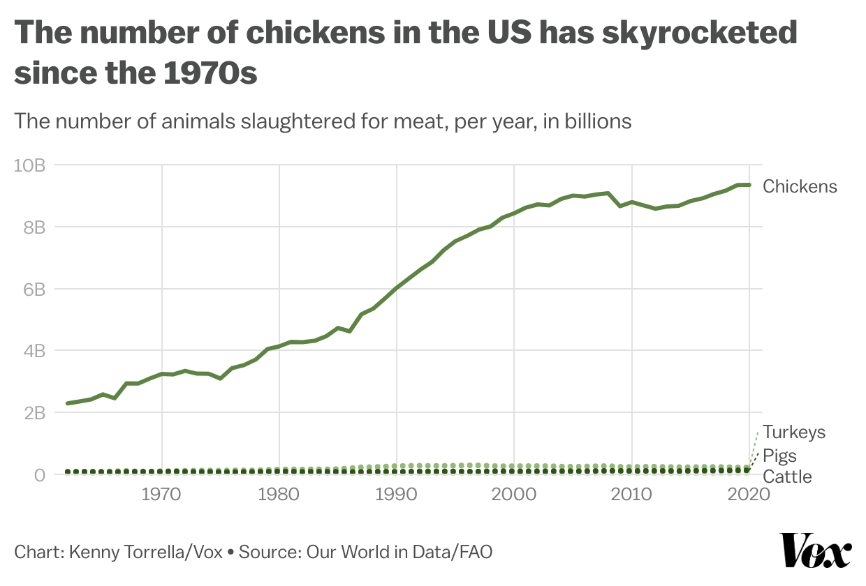 A chart titled “The number of chickens in the US has skyrocketed since the 1970s” with the number of turkeys, pigs, and cattle on a relatively straight line through the decades while the line showing number of chickens rising sharply.