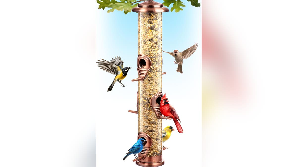 Don't worry about squirrels with this bird feeder. 