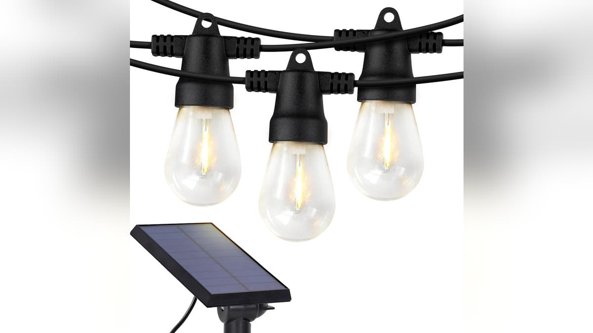 Light up your outdoor area with durable solar lights. 