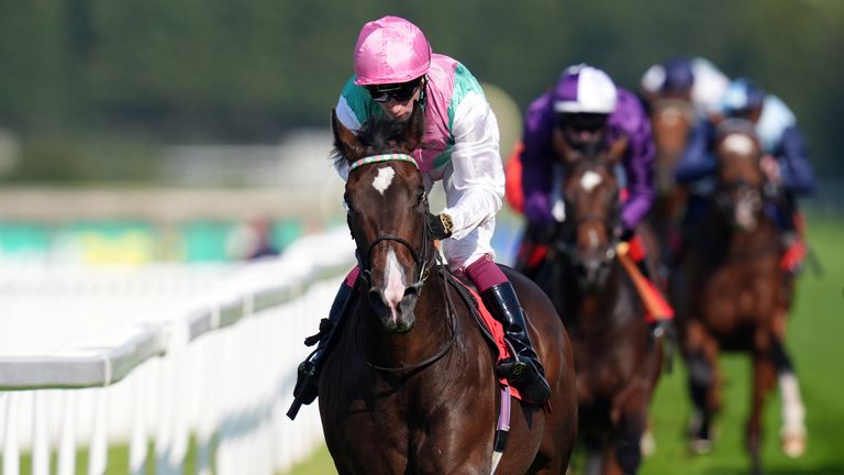 Cosmic Year on the way to winning the Sir Michael Stoute - Farewell And Thank You Novice Stakes at Sandown