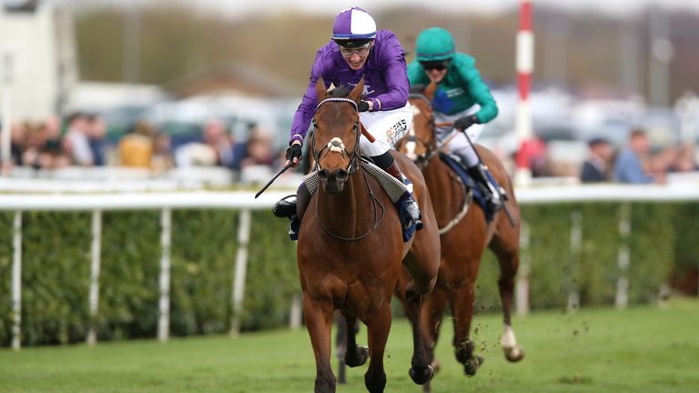 Mr Professor won this race last term under David Egan