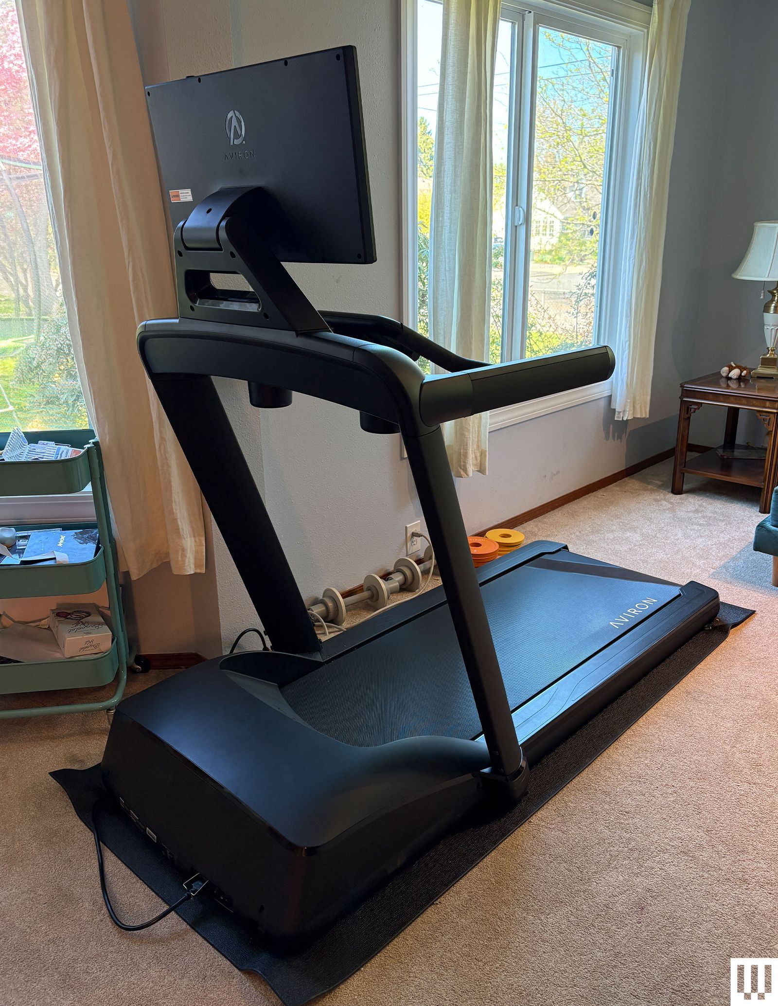 Image may contain Lamp Home Decor Rug Desk Furniture Table Working Out Fitness Sport Gym and Treadmill