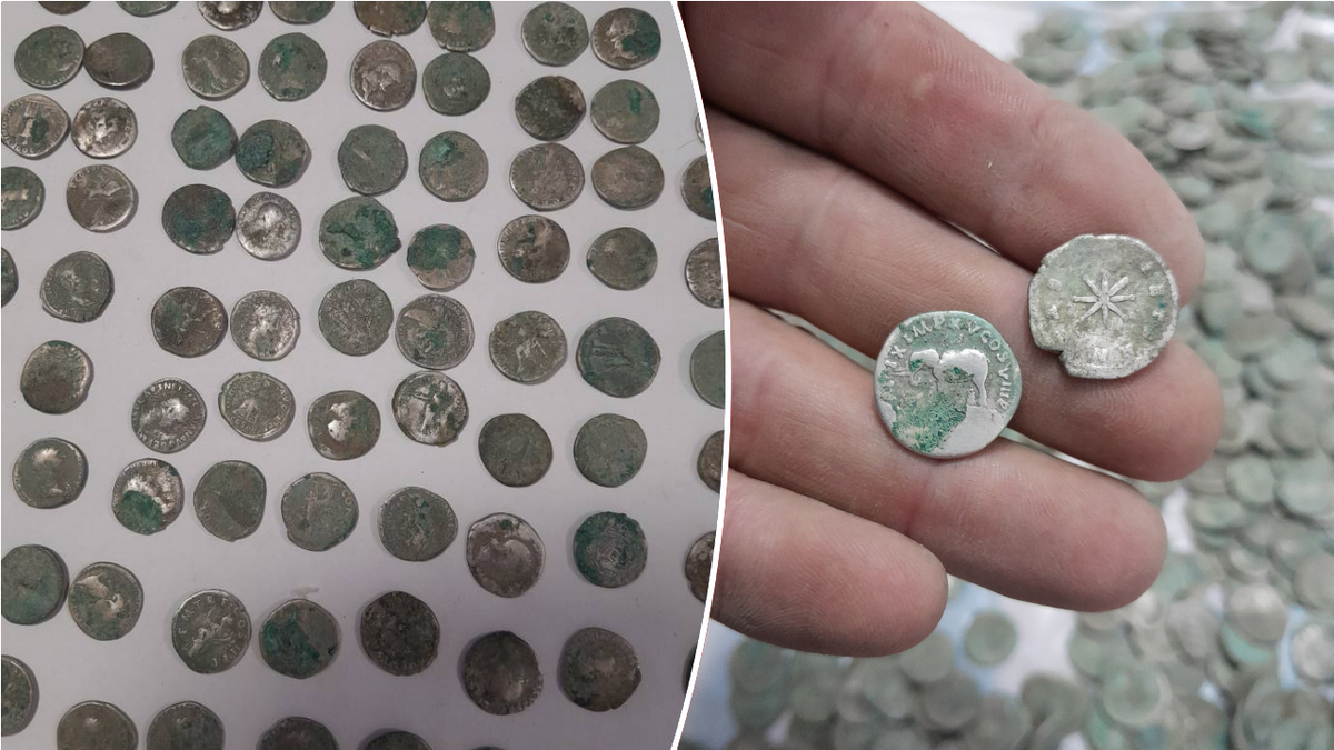 Split image of coins