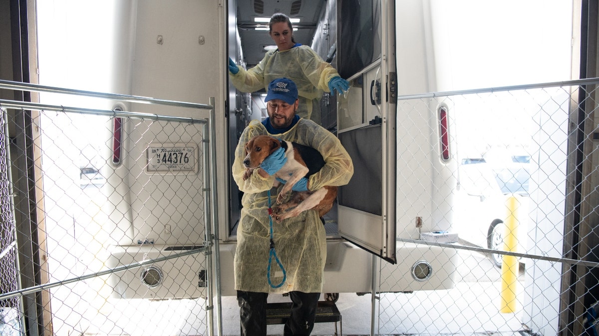 Humane Society President Kitty Block