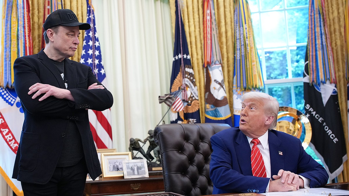 President Donald Trump and Elon Musk