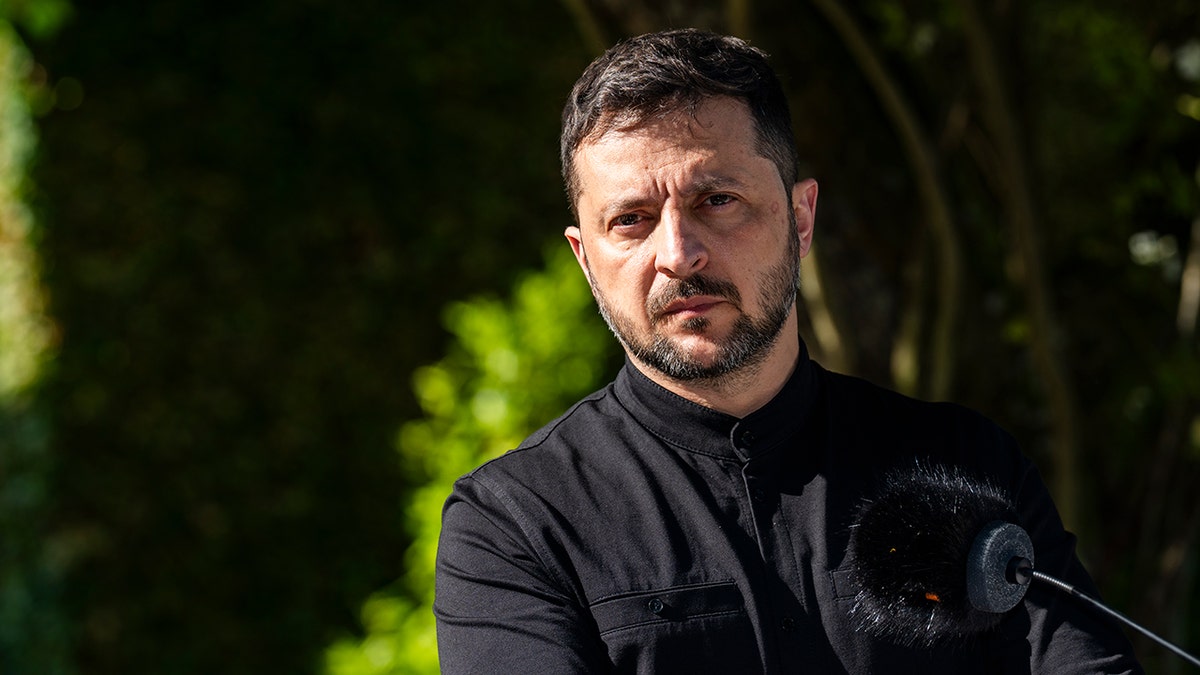 Zelenskyy at Denmark press conference