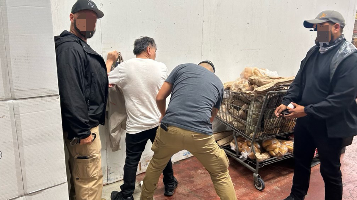 ICE agents arrest Jose Luis Mendoza-Gonzalez in Chicago.