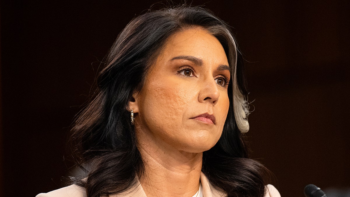Tulsi Gabbard testifying before the Senate Intelligence Committee