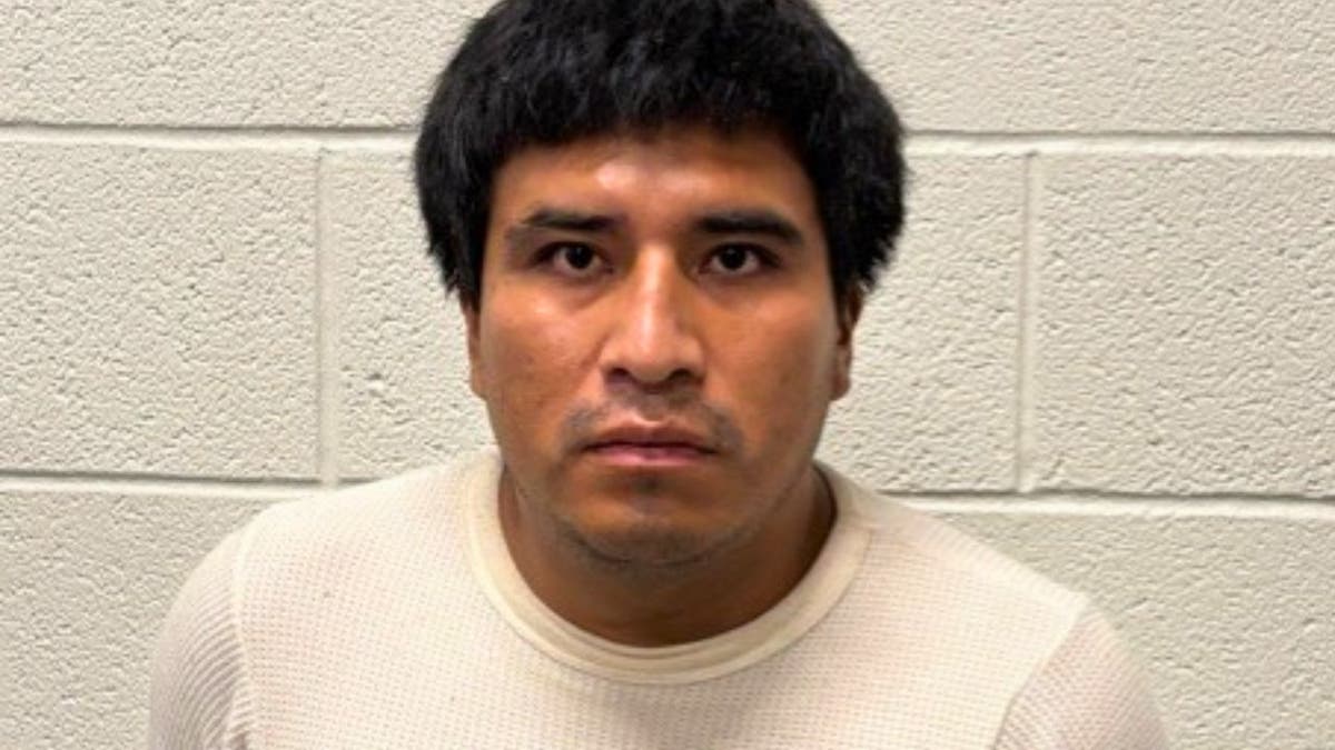 Honduran illegal immigrant David Cabrera mugshot.