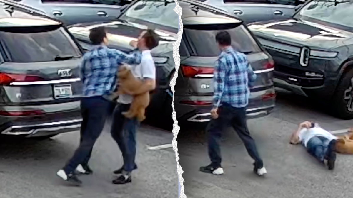 An illegal immigrant Uber driver was caught on camera headbutting and punching a biotech CEO in downtown Charleston, South Carolina.