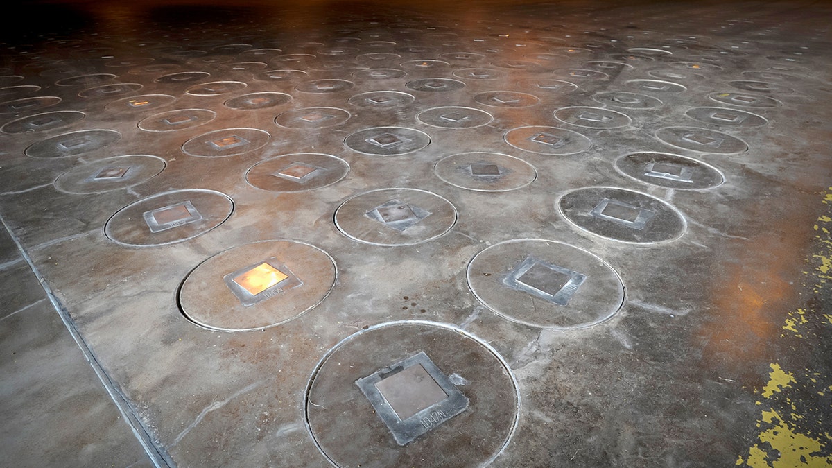 Radioactive wasp nest found in former nuclear waste plant in Aiken, South Carolina